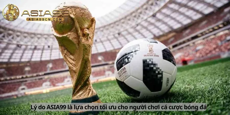 Lý do là lựa chọn tối ưu